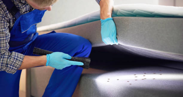 Best Ant Control Services  in Redland, MD