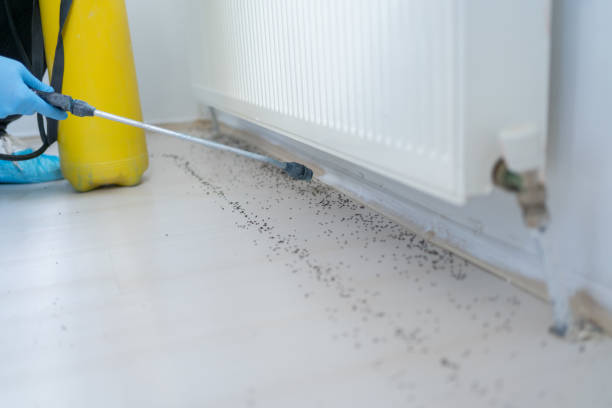 Best Wildlife Control Services  in Redland, MD
