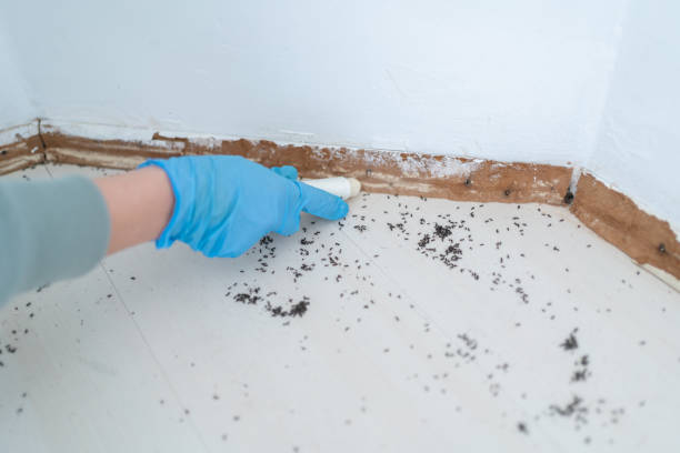 Best Best Pest Control Companies  in Redland, MD